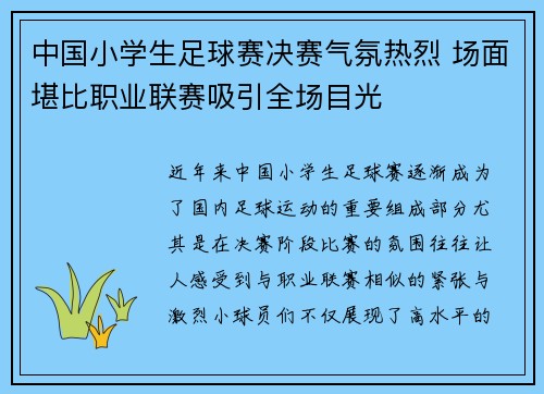 中国小学生足球赛决赛气氛热烈 场面堪比职业联赛吸引全场目光