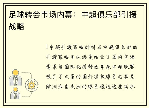 足球转会市场内幕：中超俱乐部引援战略